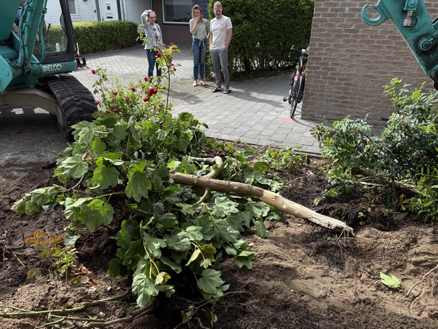 Tuin